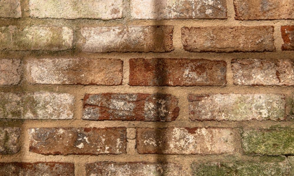 A close-up view of weathered bricks showing solid brick masonry and strong wall texture