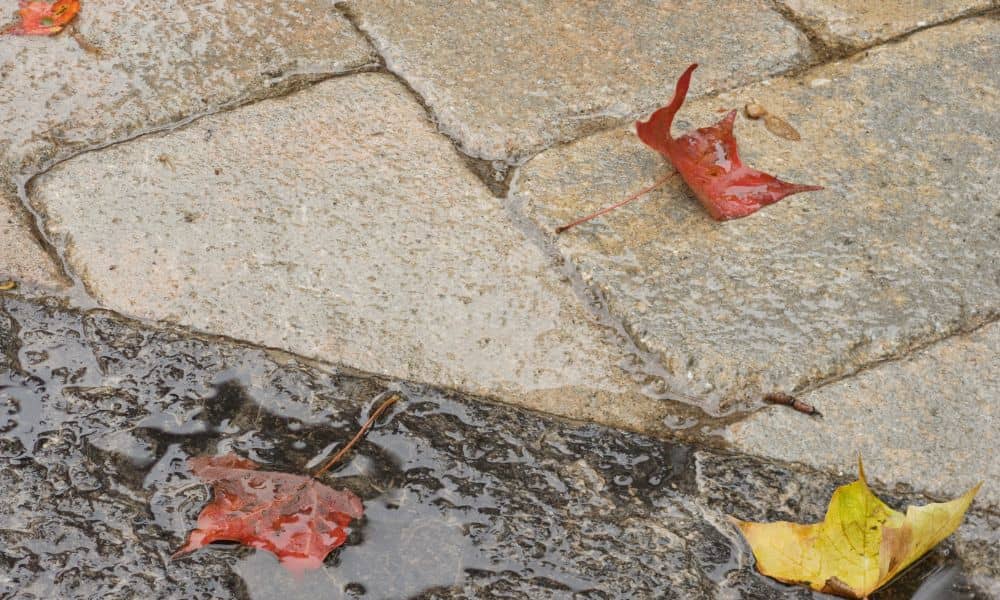 Water pooling on a stone patio after a rainstorm with fallen leaves scattered across the surface