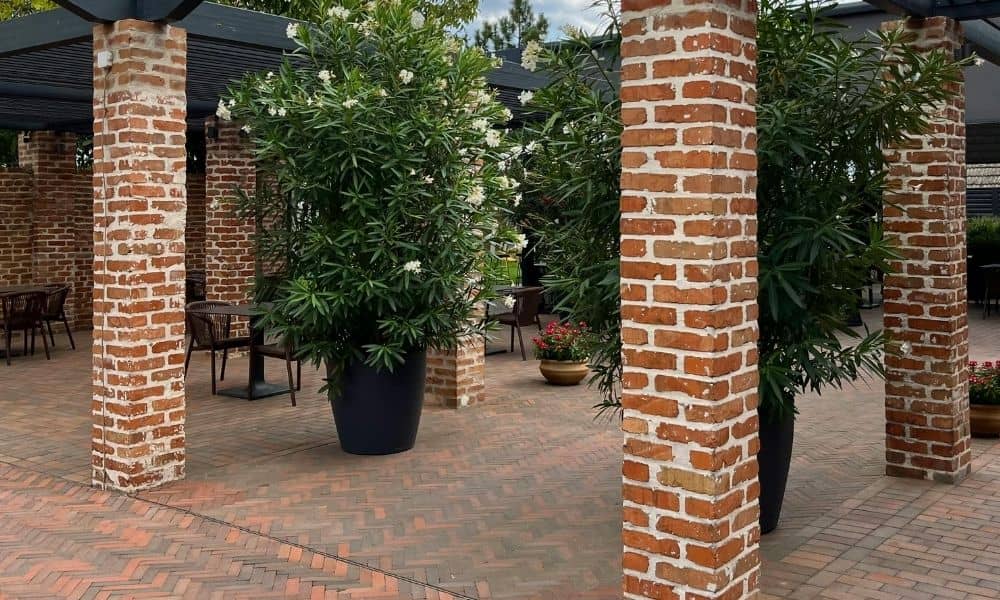 Brick patio design that blends outdoor living space with greenery and plants